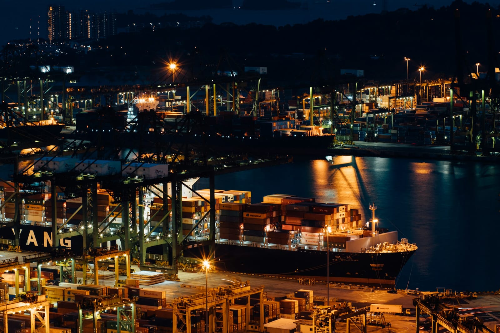 A cargo ship on the sea at night off Singapore